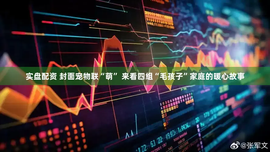 实盘配资 封面宠物联“萌” 来看四组“毛孩子”家庭的暖心故事