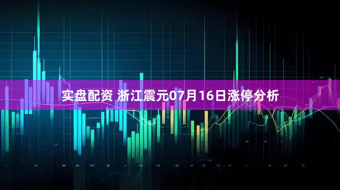 实盘配资 浙江震元07月16日涨停分析