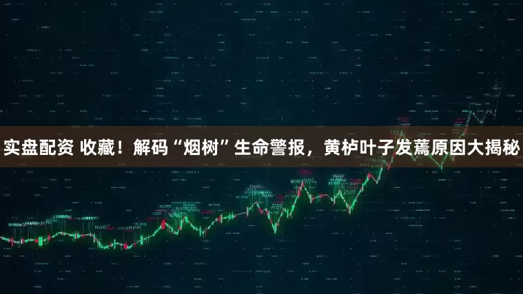 实盘配资 收藏！解码“烟树”生命警报，黄栌叶子发蔫原因大揭秘