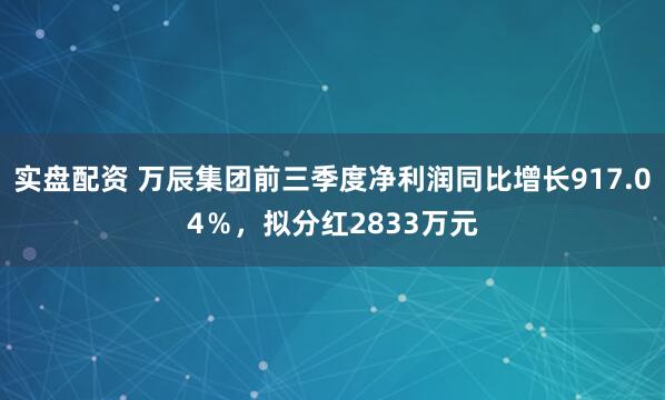 实盘配资 万辰集团前三季度净利润同比增长917.04％，拟分红2833万元
