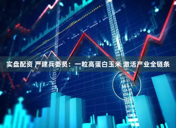 实盘配资 严建兵委员：一粒高蛋白玉米 激活产业全链条