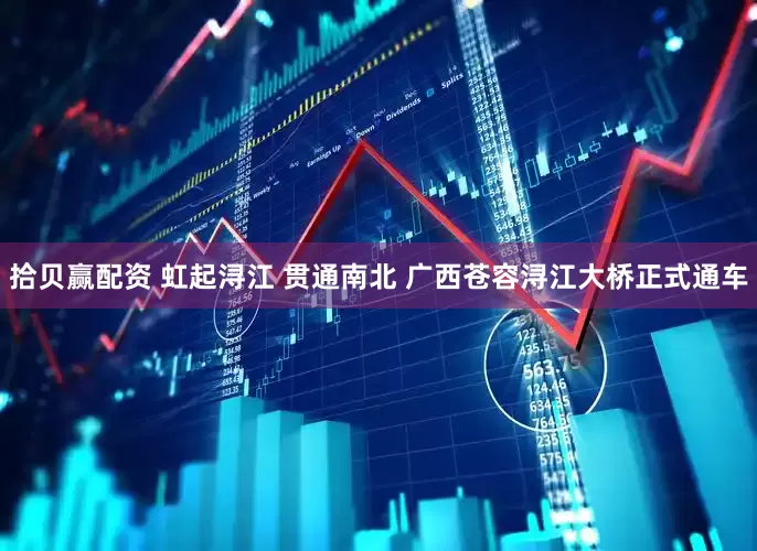 拾贝赢配资 虹起浔江 贯通南北 广西苍容浔江大桥正式通车